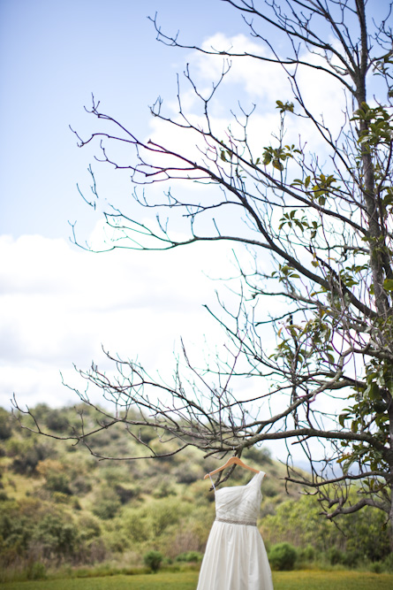 condor-s-nest-ranch-wedding-from-tyler
