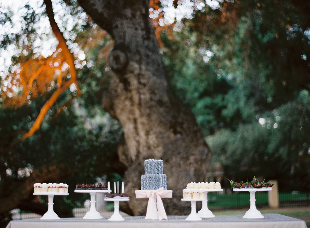 glamorous-backyard-wedding-from-ryan