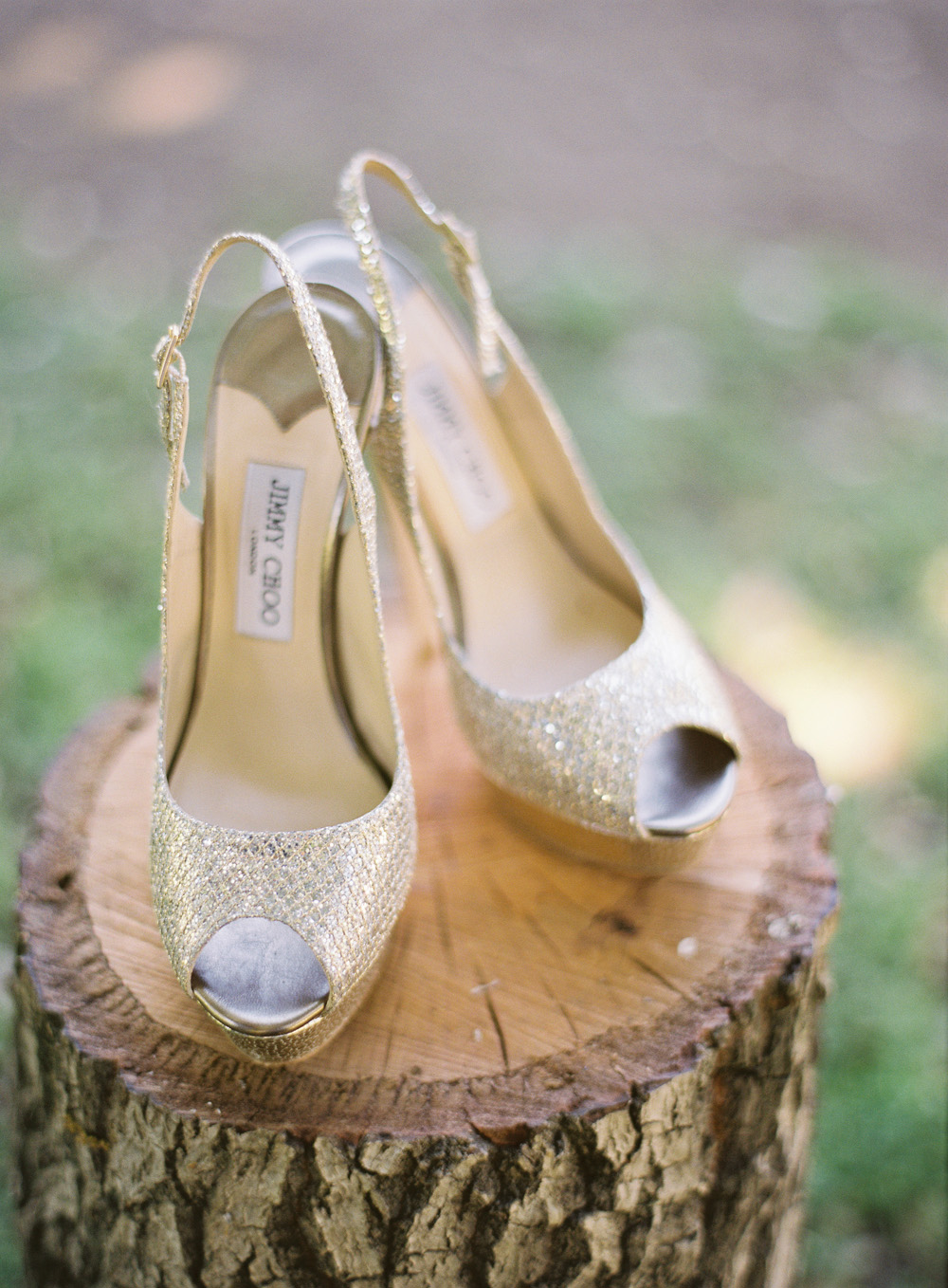 glamorous-backyard-wedding-from-ryan