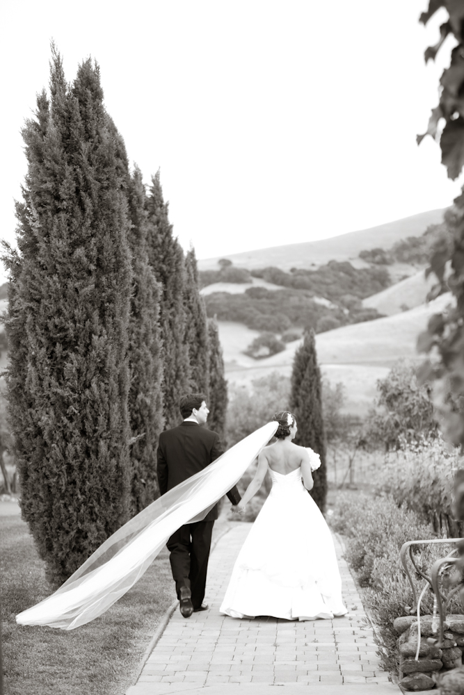 pale-pink-wine-country-wedding-from