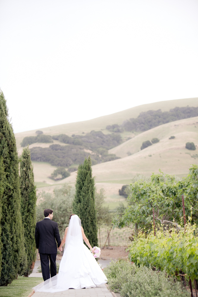 pale-pink-wine-country-wedding-from
