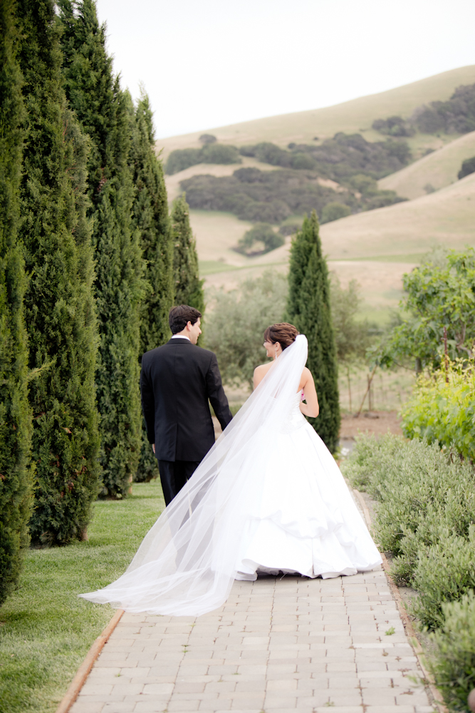 pale-pink-wine-country-wedding-from