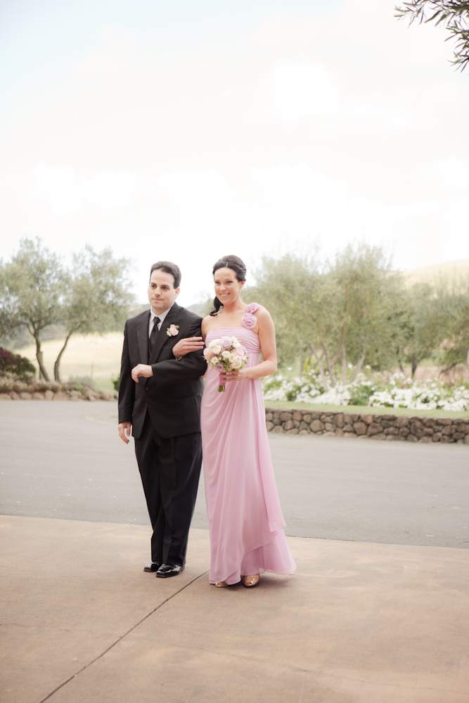 pale-pink-wine-country-wedding-from