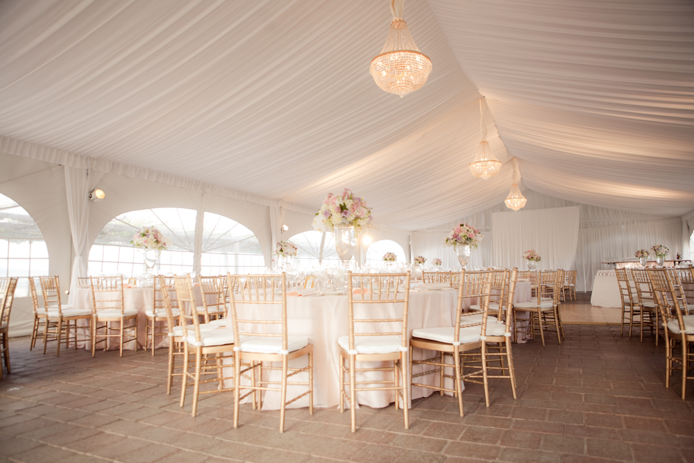 pale-pink-wine-country-wedding-from