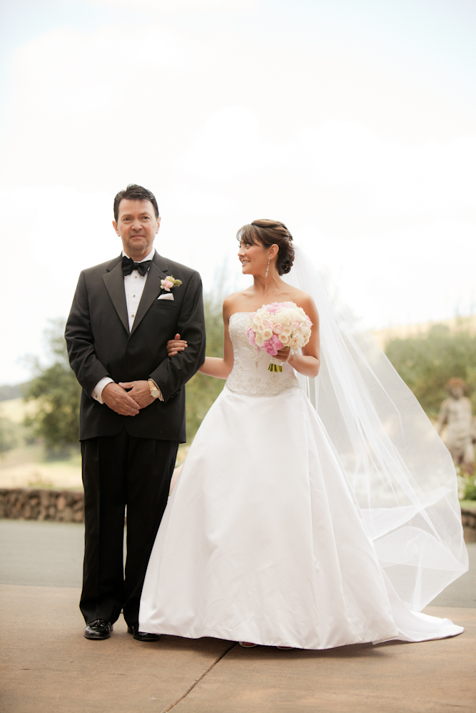 pale-pink-wine-country-wedding-from