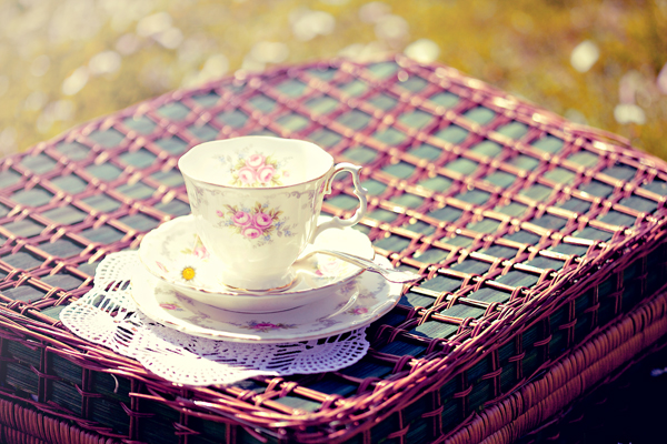 retro-chic-picnic-inspiration