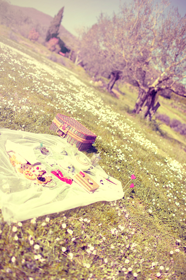 retro-chic-picnic-inspiration