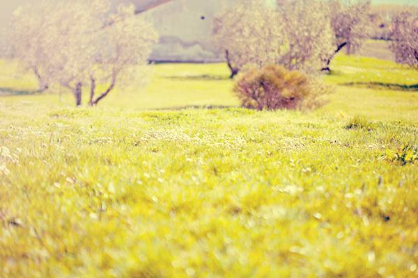 retro-chic-picnic-inspiration