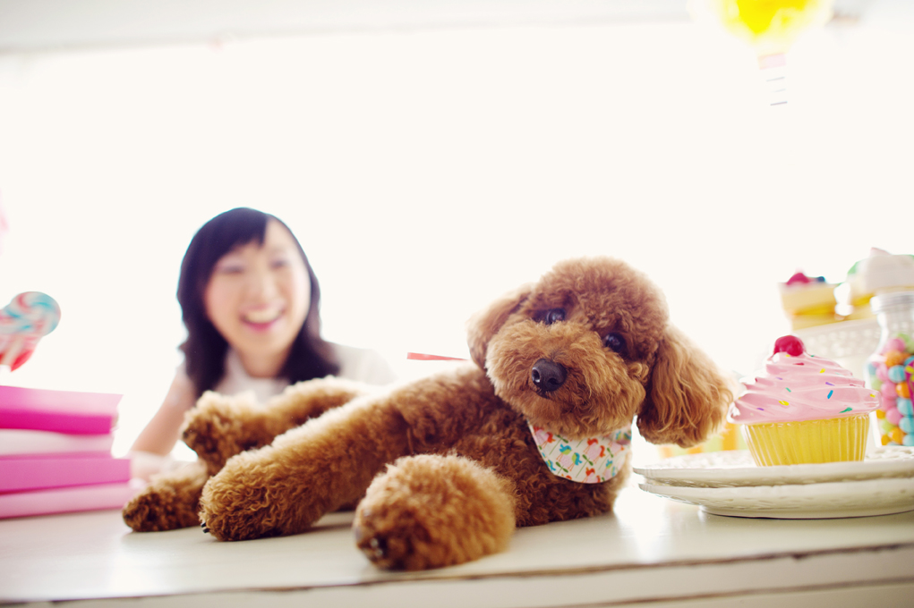 scandalously-cute-engagement-session