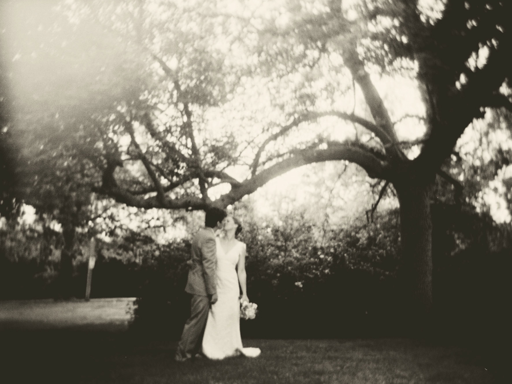 Romantic couple under a big tree