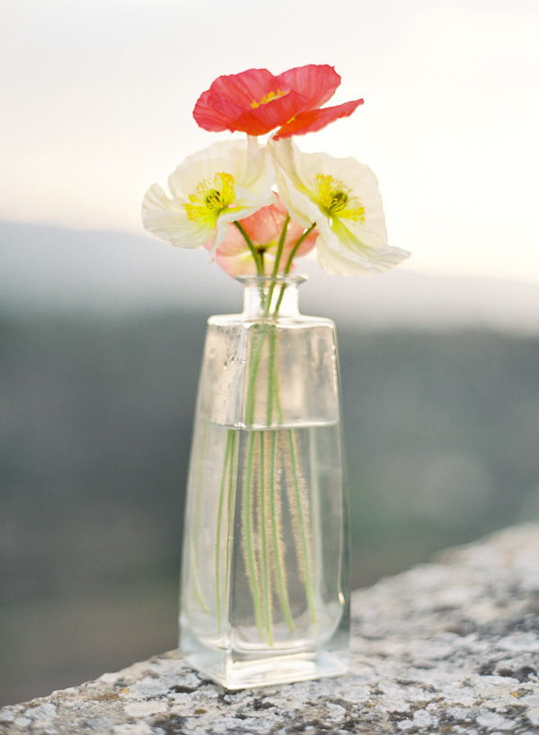 an-engagement-shoot-in-the-south-of