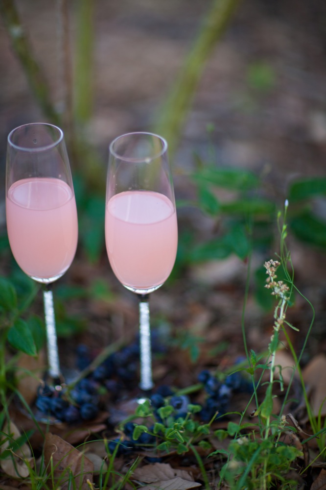 blueberry-fields-wedding-by-sarah-de