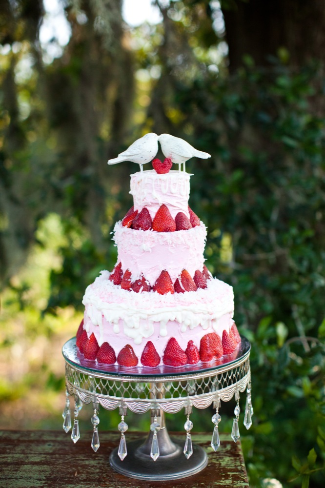 blueberry-fields-wedding-by-sarah-de