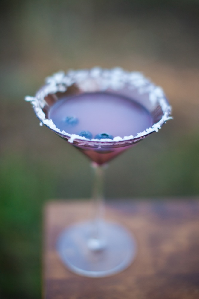 blueberry-fields-wedding-by-sarah-de
