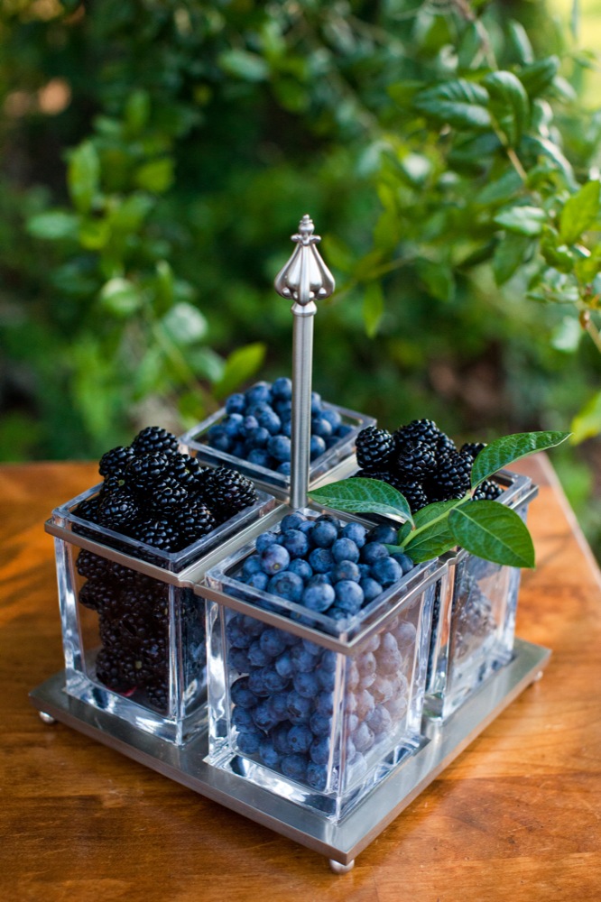 blueberry-fields-wedding-by-sarah-de
