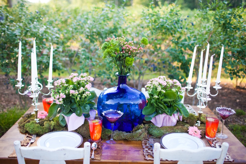 blueberry-fields-wedding-by-sarah-de