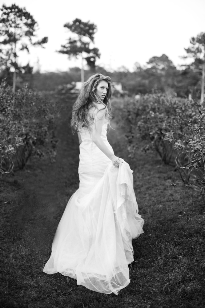 blueberry-fields-wedding-by-sarah-de