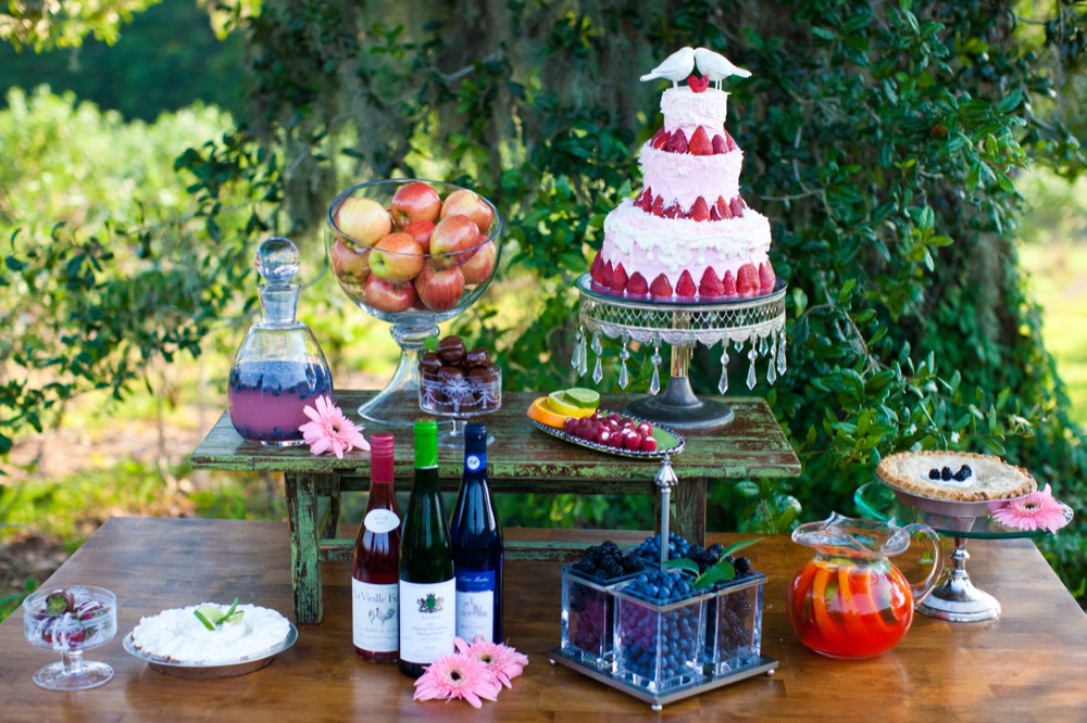 blueberry-fields-wedding-by-sarah-de