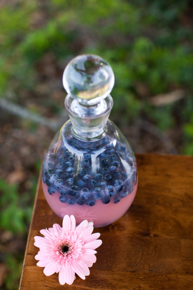 blueberry-fields-wedding-by-sarah-de