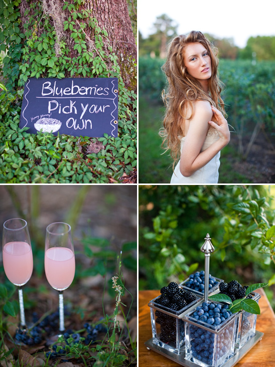 Blueberry Fields Wedding By Sarah De Shaw