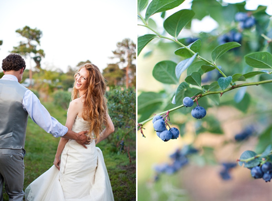 Blueberry Fields Wedding By Sarah De Shaw