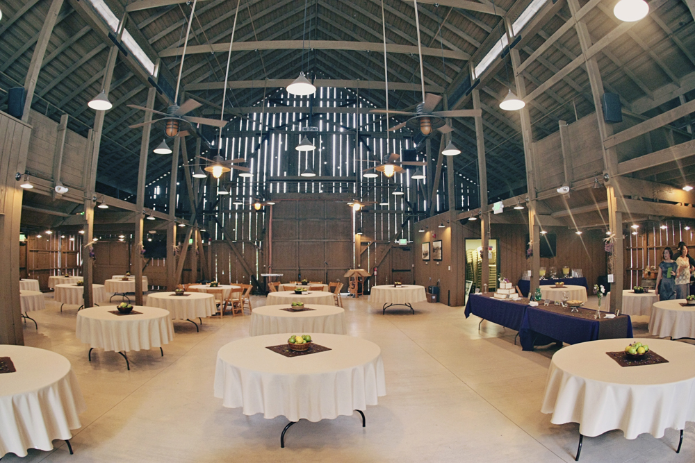 camarillo-ranch-wedding-from-lukas