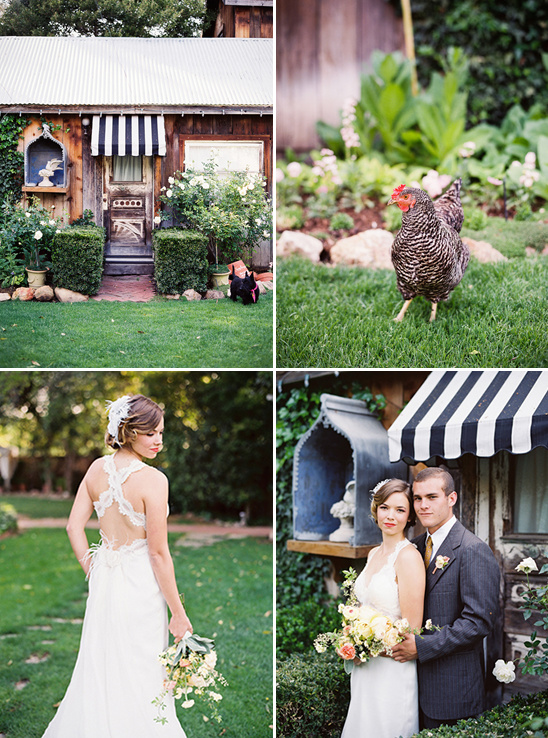 Elegant Backyard Garden Wedding By Michelle Warren Photography