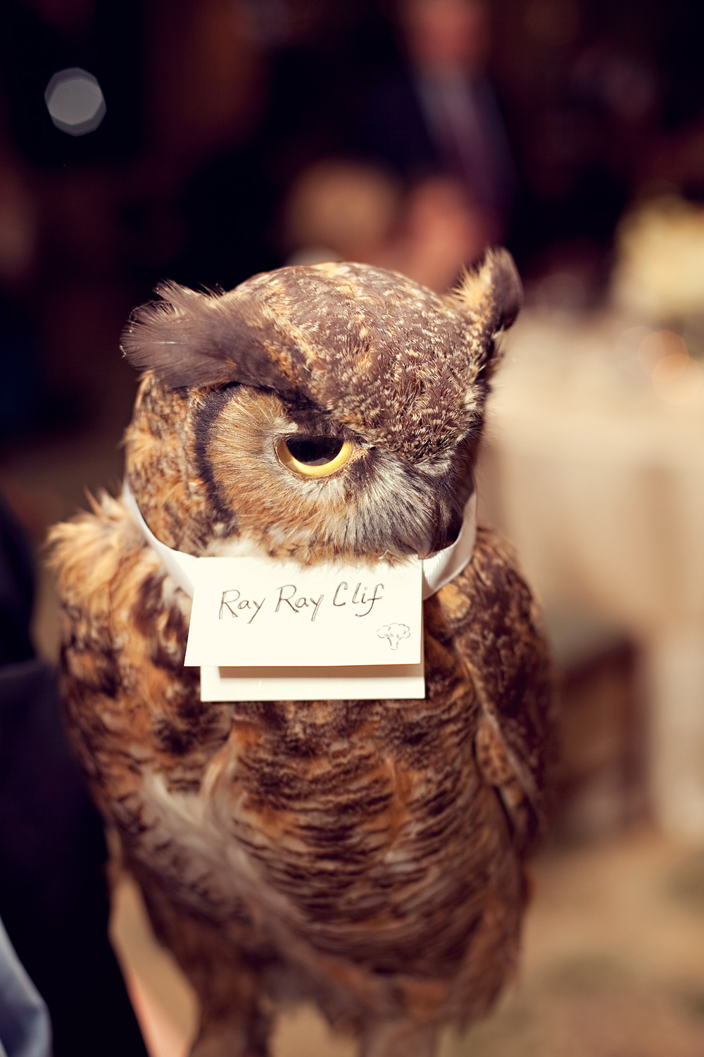etsy-wedding-from-hey-gorgeous-events