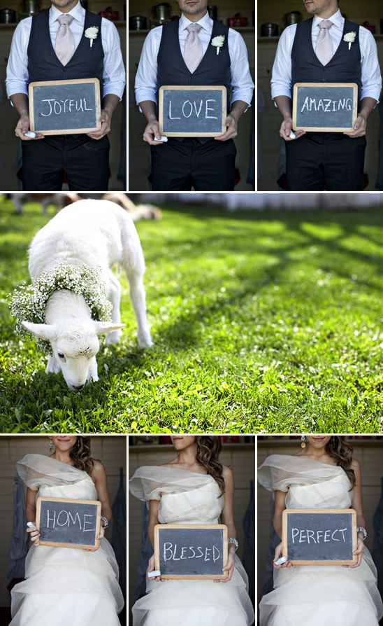 Charming wedding party with chalkboard signs and a flower crowned lamb
