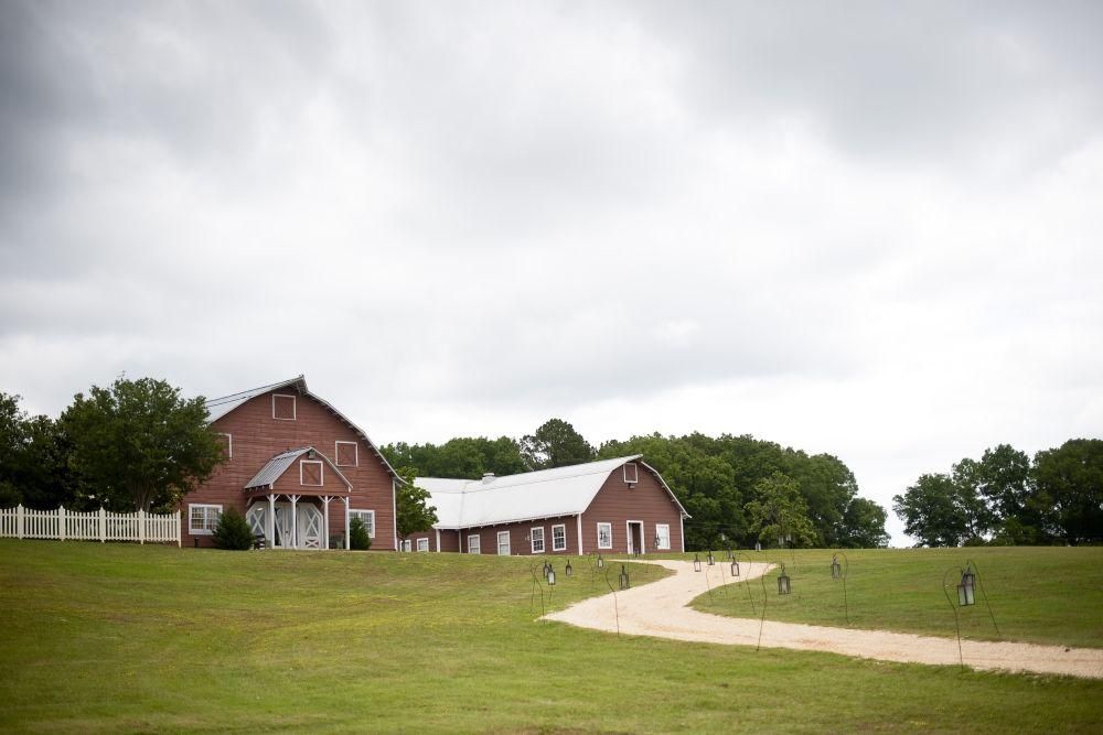 light-hearted-yet-elegant-alabama