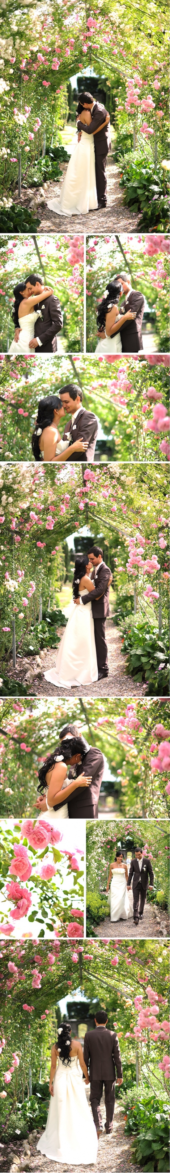 Romantic wedding couple amidst blooming roses