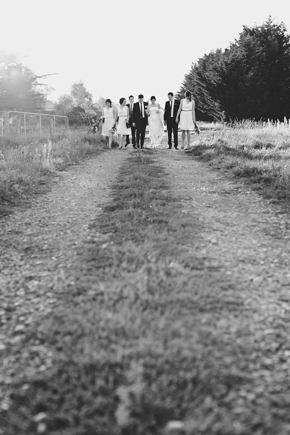 new-zealand-barn-yard-wedding