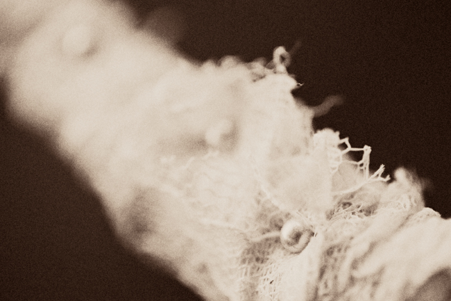 not-your-grandmothers-bridal-session