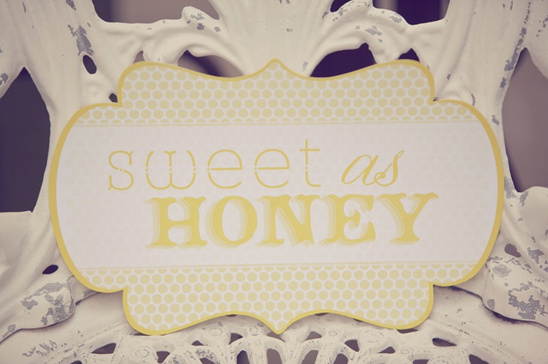 Our Love Is Sweeter Than Honey Bridal Shower