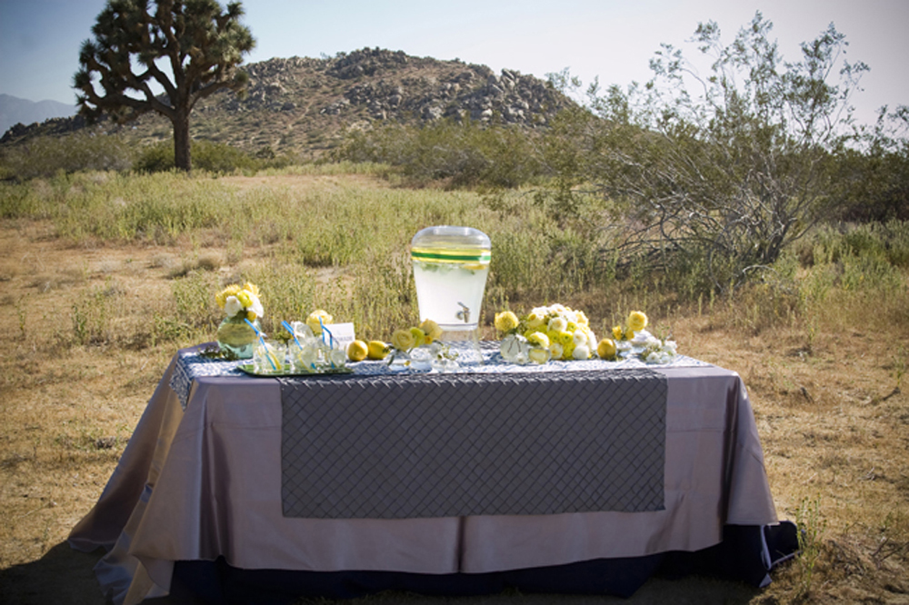 palm-springs-wedding-ideas-win-the
