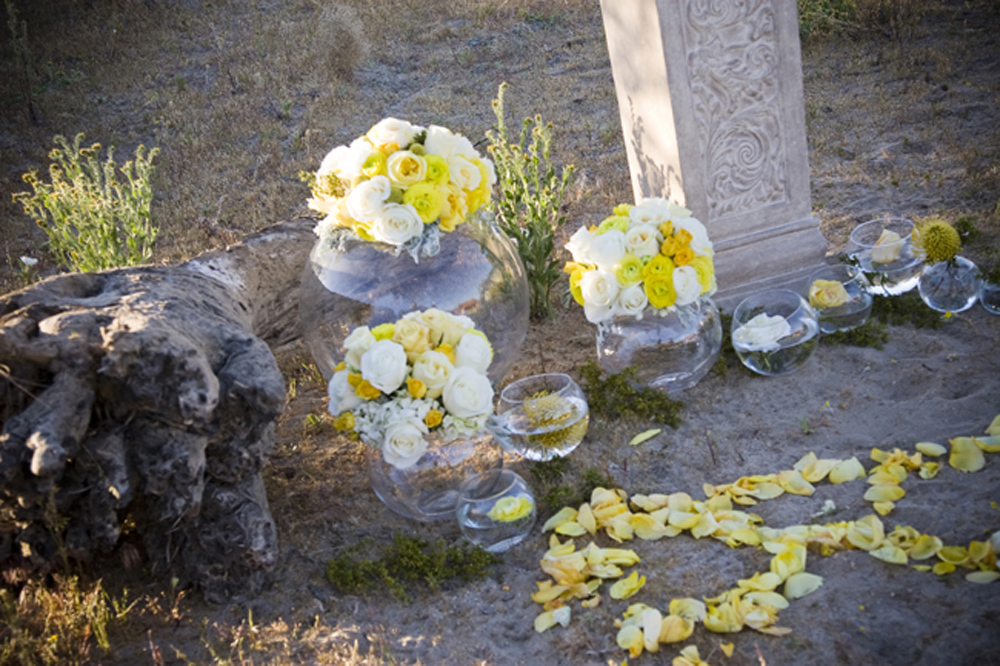 palm-springs-wedding-ideas-win-the