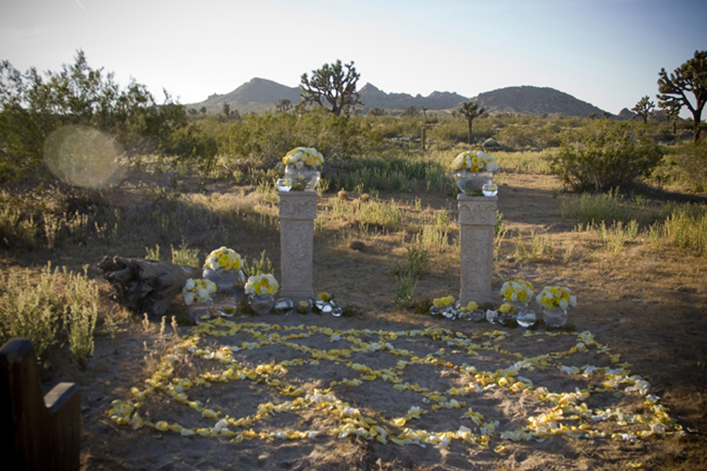 palm-springs-wedding-ideas-win-the