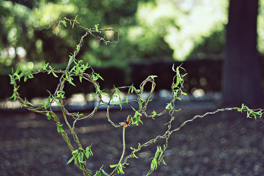 real-rustic-wedding-from-closer-to