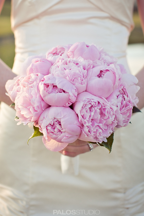 Pink peony bridal bouquet in hands