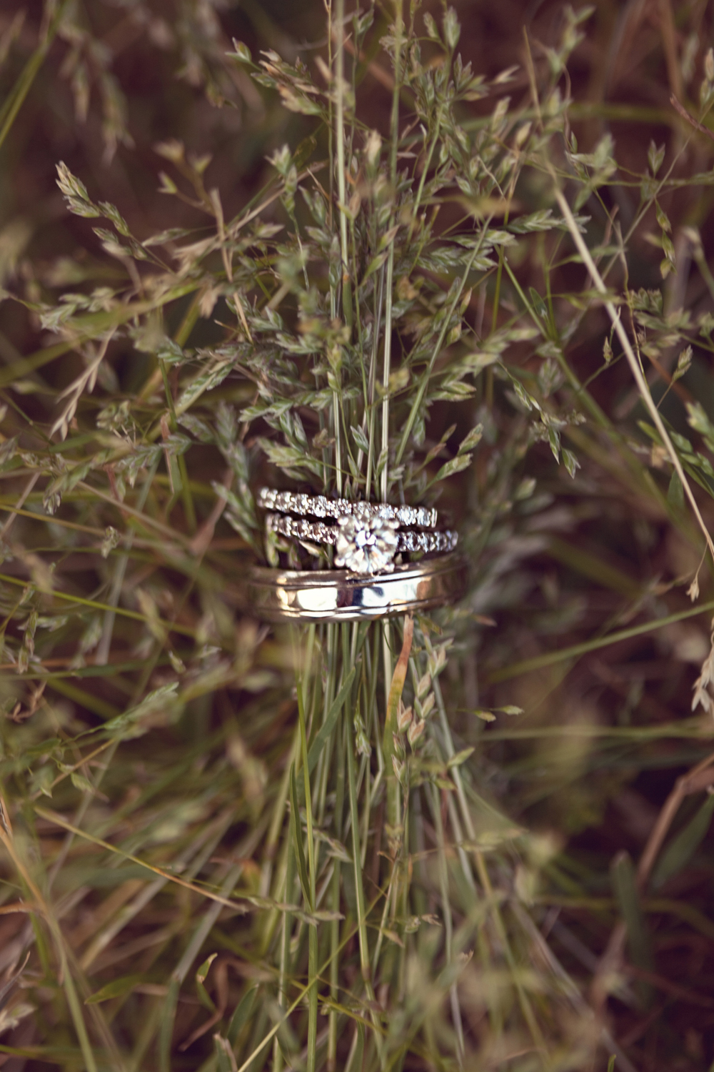 south-carolina-barnyard-wedding