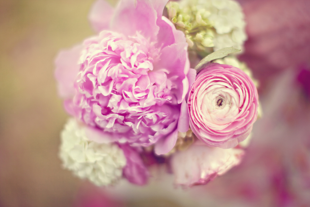 south-carolina-barnyard-wedding