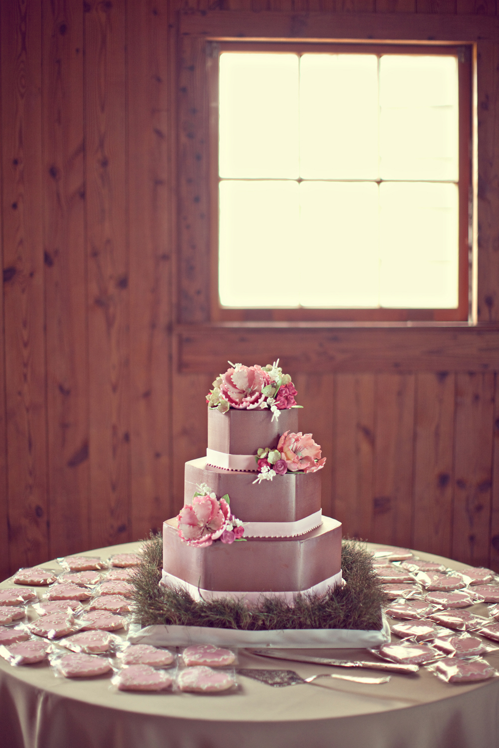 south-carolina-barnyard-wedding