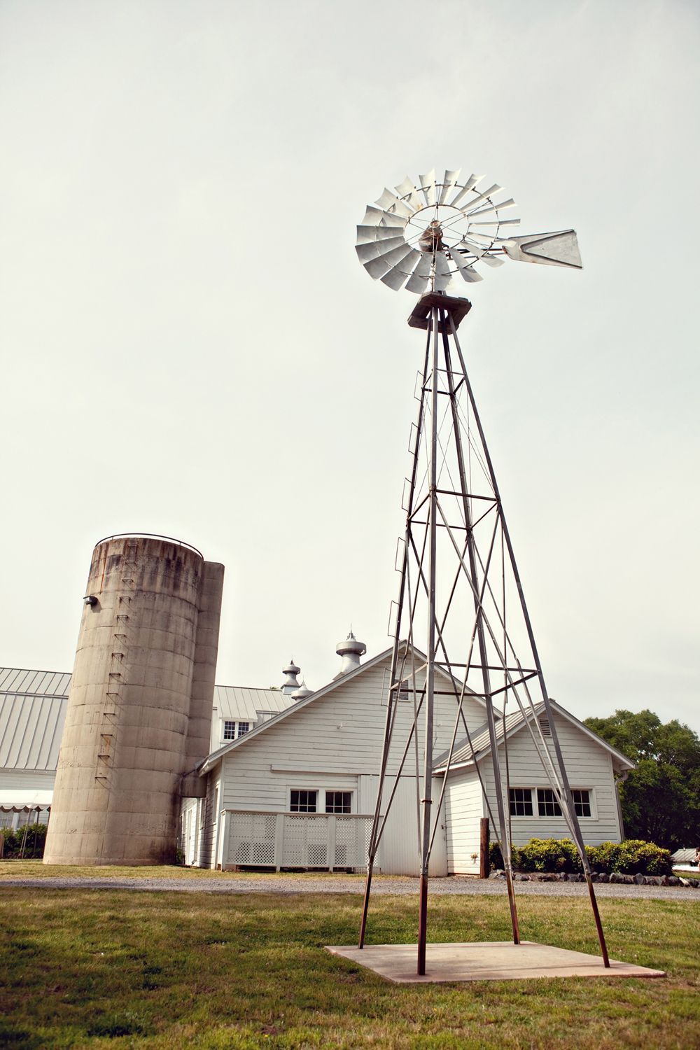 south-carolina-barnyard-wedding