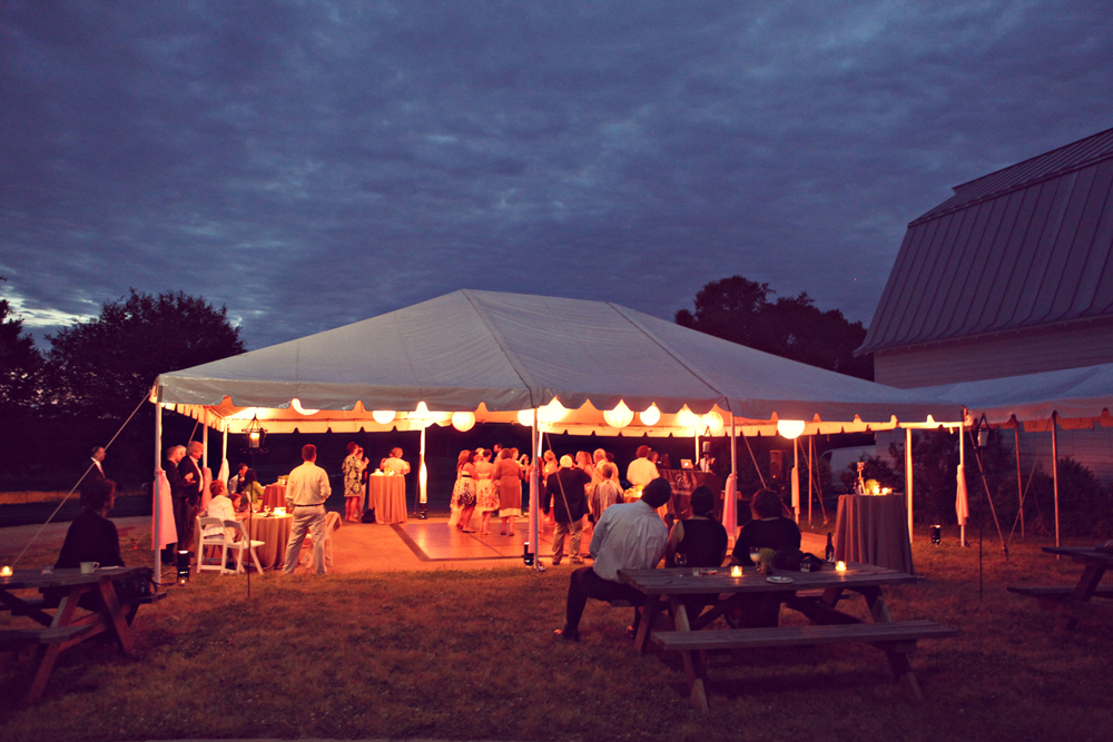 south-carolina-barnyard-wedding