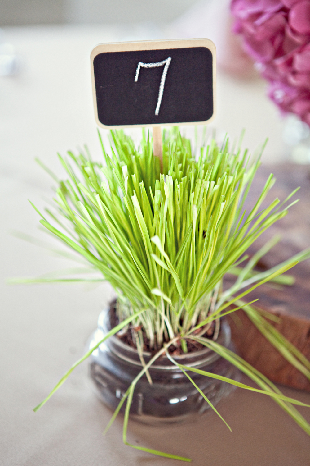 south-carolina-barnyard-wedding