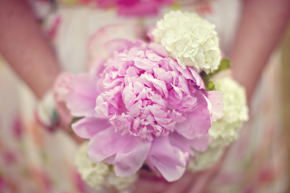 south-carolina-barnyard-wedding