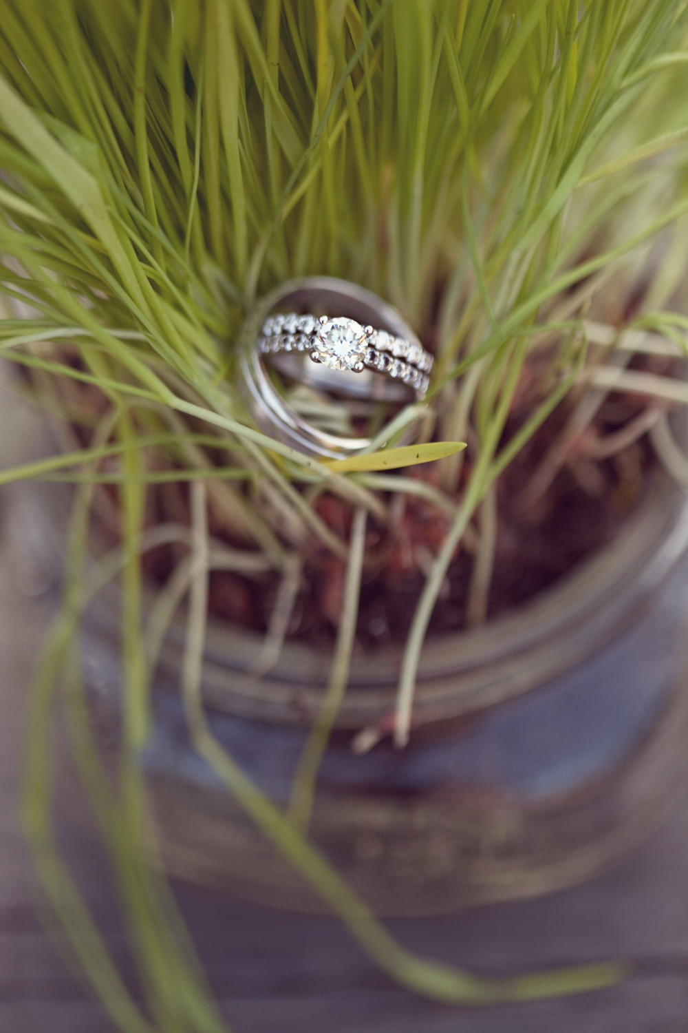 south-carolina-barnyard-wedding