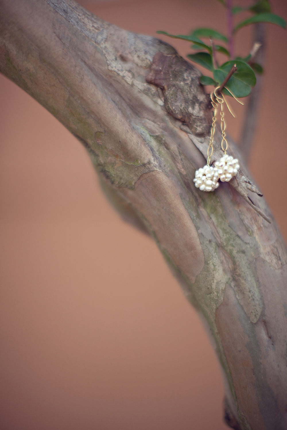 south-carolina-barnyard-wedding