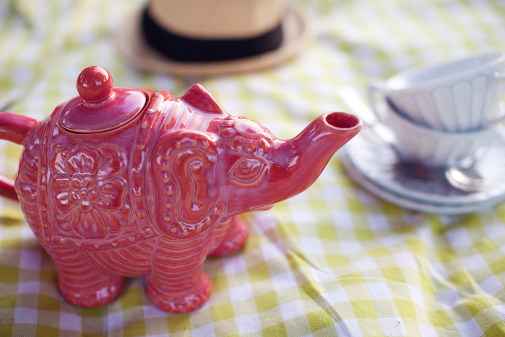 tea-and-cupcakes-engagement-session