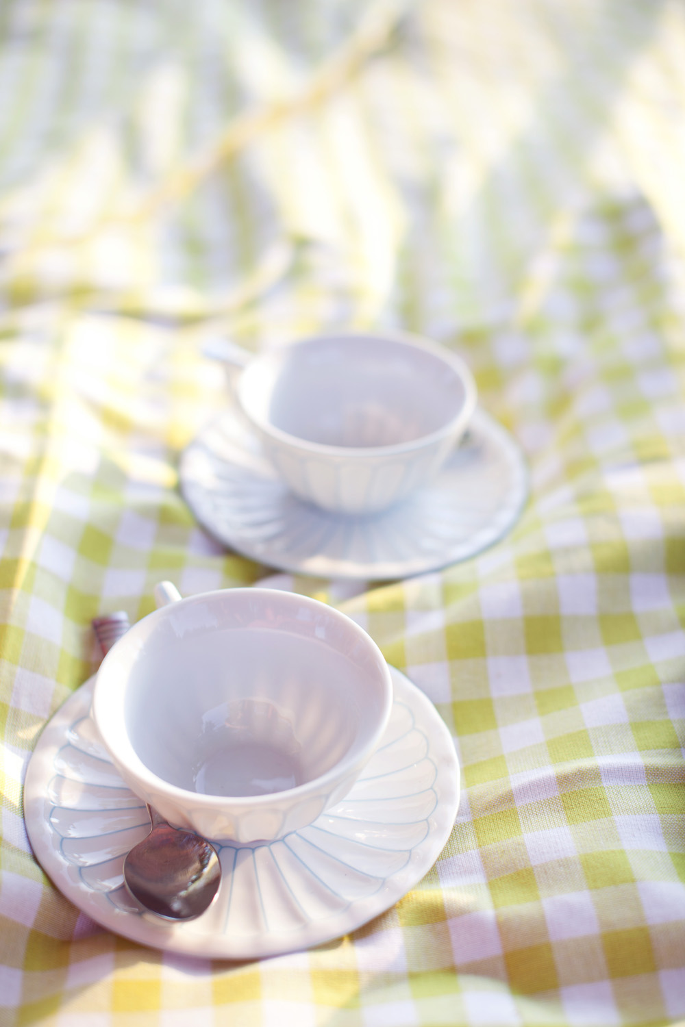 tea-and-cupcakes-engagement-session
